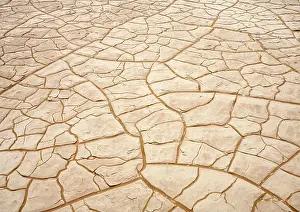 Formed: Patterns formed by cracked clay