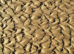 Forms: Patterns in the sand of a beach at the Atlantic Ocean