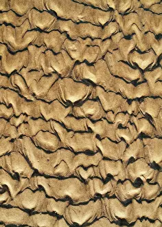 Forms: Patterns in the sand of a beach at the Atlantic Ocean
