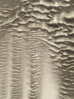 Ripples: Patterns in the sand of the Namib Desert