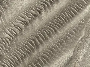 Ripples: Patterns in the sand of the Namib Desert