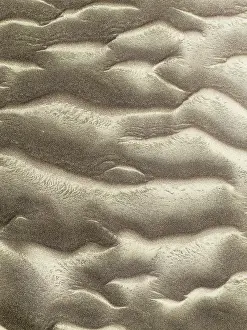 Ripples: Patterns in the sand of the Namib Desert