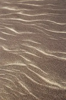 Ripples: Patterns in the sand of the Namib Desert