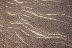 Ripples: Patterns in the sand of the Namib Desert