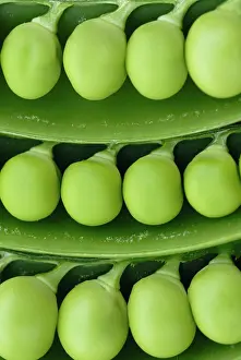 Strengthen: Pea