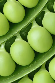 Strengthen: Pea