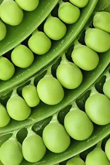 Proportion: Pea