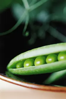 Kelvedon: Pea