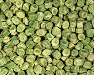 Peas: Pea (Pisum sativum) seeds