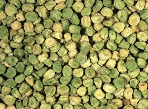 Peas: Pea (pisum sativum) seeds