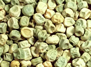 Peas: Pea Seeds