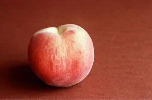 Peach: PEACH - close-up