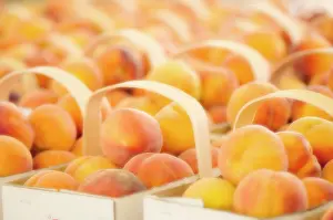 Persica: Peach