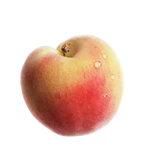 Silky: Peach