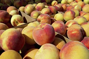 Peach: Peaches