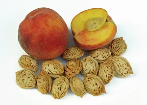 Peach: Peaches and Pits