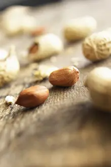 Illustrative: Peanut, Arachis hypogaea