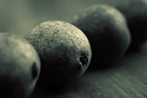 Conference: Pear