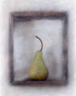 Pyrus: Pear