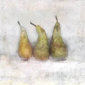 Pyrus: Pear