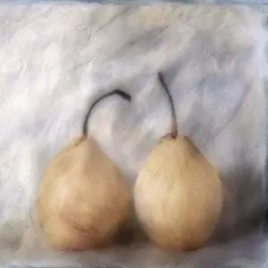 Pyrus: Pear