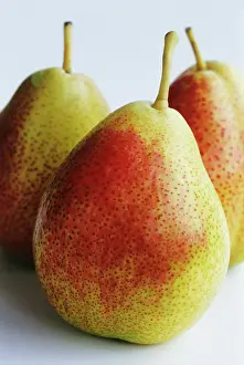 Pyrus: Pear