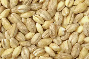 Vulgare: Pearl barley