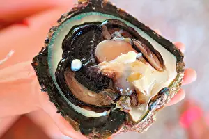 Barbata: Pearl of Polynesia and Tahiti's pearl out of her
