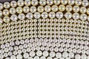 Pearls: Pearls