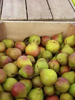 Pears: Pears