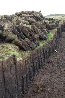 Bogs: Peat Cutting