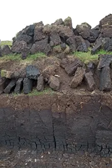 Bogs: Peat Cutting