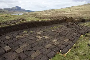 Blocks: Peat cutting with blocks / briquettes drying