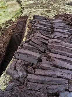 Warmth: Peat cutting on Shetland, Scotland. the