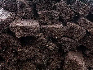 Warmth: Peat cutting on Shetland, Scotland. the