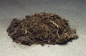 Peat: Peat