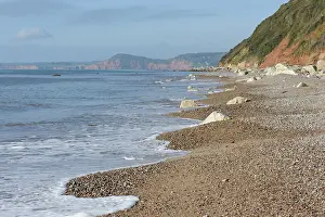 Shingle: Pebble beach, Devon