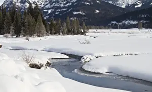 Pebble: Pebble Creek in winter, Yellowstone National Pa