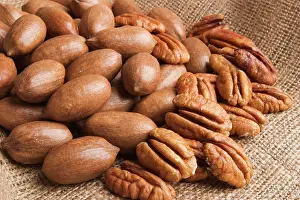 Kernel: Pecannut