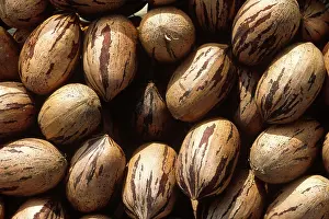 Nuts: Pecans