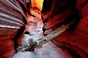 Kanab: Peckaboo Canyon, Kanab, Utah, USA, North America