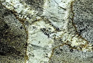 Dyke: Pegmatite and aplite dikes, Thailand