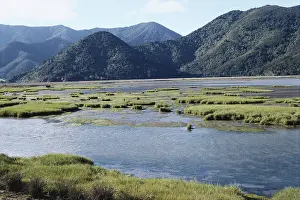Sounds: Pelorus River Delta