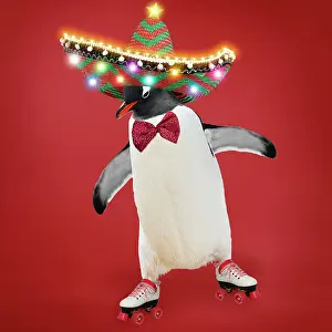 Skates: Penguin