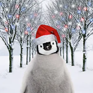 2045: Penguin chick in Christmas hat in tree-lined