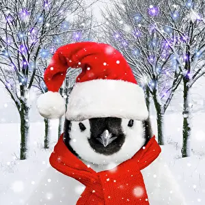 Falling: Penguin Chick wearing a red Christmas Santa hat