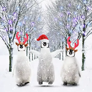 Ake Lindau: Three penguin chicks walking through an avenue of trees in t