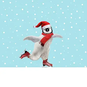 281217: Penguin skating wearing Christmas hat and scarf