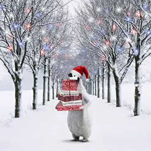 280219: Penguin wearing Christmas hat carrying presents