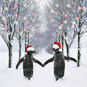 Falling: Penguins